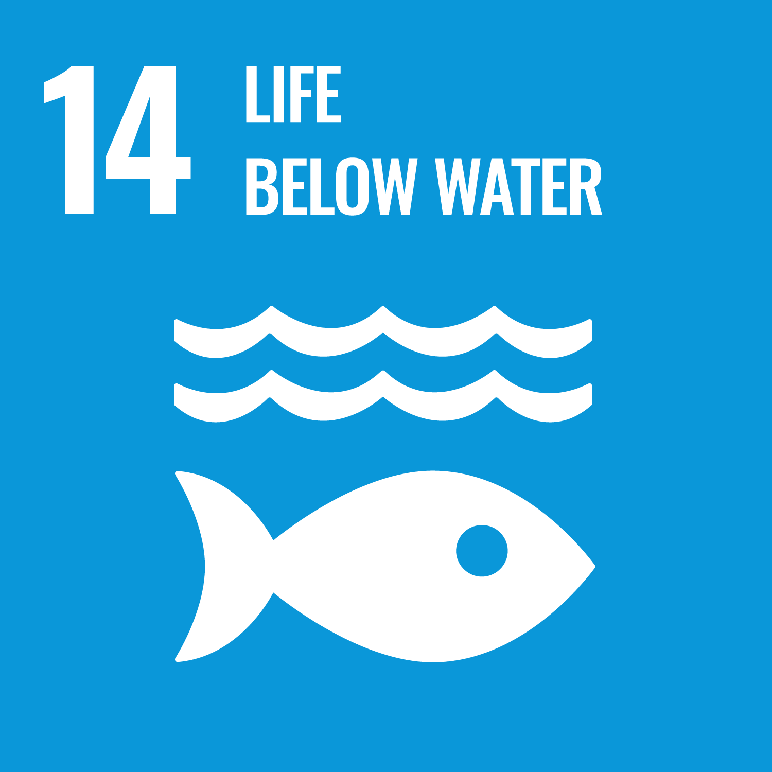 SDG-14 Life Below Water