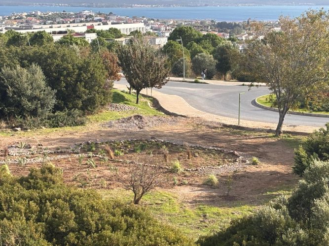 WhatsApp Image 2025-10-28 at 11.39.23